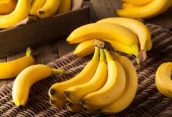 Creata una “superbanana” OGM che potrebbe salvare milioni di vite