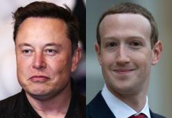 Musk conferma lo scontro di MMA con Mark Zuckerberg: l'annuncio
