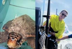 Federica Pellegrini libera una tartaruga in mare: “Ne sono felice”