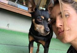 Elisabetta Canalis in lutto, addio alla cagnolina Mia dopo 16 anni