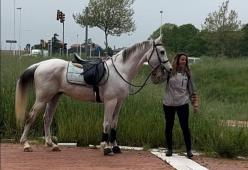 Non le concedono lo smart working: va in ufficio a cavallo