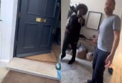 Violazione di domicilio: l’ultima terribile moda lanciata su TikTok