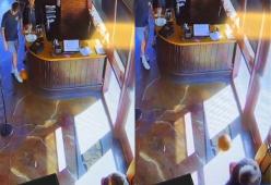 Cameriere colpisce una cliente con una zucca: il video virale