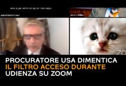 L'avvocato va in udienza con la maschera da gatto: ma è solo un filtro Zoom