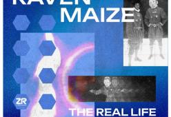 The Real Life (David Penn Remix)