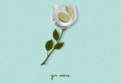 Gin Mare