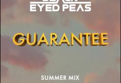 Guarantee (Summer Mix)
