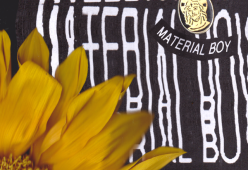 Material Boy