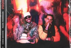 Provide (feat. Chris Brown & Mark Morrison) 