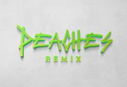Peaches (Remix) [feat. Ludacris, Usher & Snoop Dogg] 
