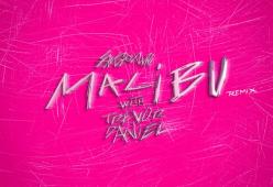 Malibu (Trevor Daniel Remix)
