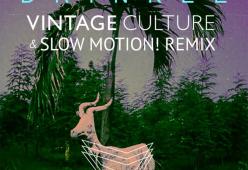 Drinkee (Vintage Culture & Slow Motion Remix)