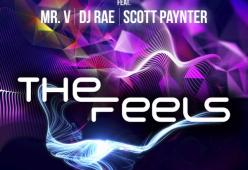 The Feels (feat. DJ Rae Mr. & Scott Paynter)