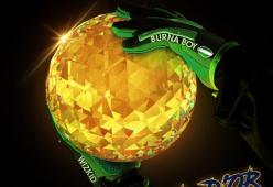 B. D’OR (feat. Wizkid)