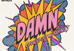 Damn (You'Ve Got Me Saying)