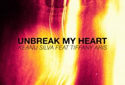 Unbreak My Heart (feat. Tiffany Aris)