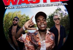 Wasted (feat. Kodak Black & Koe Wetzel)