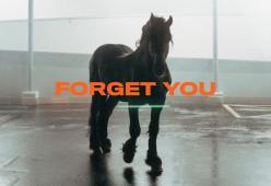 Forget You