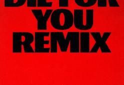 Die For You (Remix)