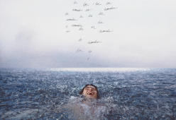 Wonder