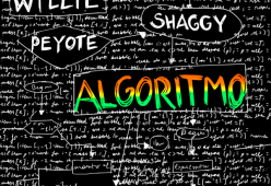 Algoritmo