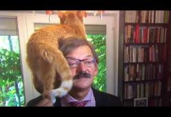 Rilascia dichiarazioni con un gatto sulle spalle: l’esilarante video del politologo Jerzy Targalski
