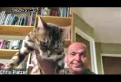 Lancia il gatto in videochat con i colleghi: politico USA costretto a dimettersi