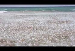 Usa: spettacolari sfere di ghiaccio trasportate dalle onde del lago Michigan