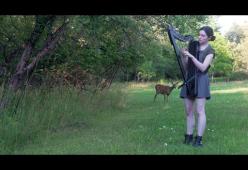 Una musicista canadese suona l’arpa da sola in mezzo al bosco e attira uno spettatore “speciale”