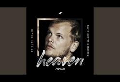David Guetta realizza il remix di "Heaven": "È un tributo ad Avicii"
