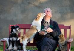 L’iniziativa romana che favorisce le adozioni degli animali nelle RSA