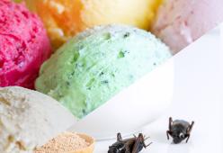 Gelato con grilli, un nuovo passo verso il futuro