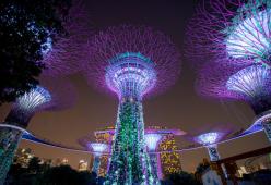 I solar trees: la scelta più bella ed efficace tra i pannelli solari 
