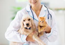 Bonus animali domestici: confermato dalla legge di bilancio 2021
