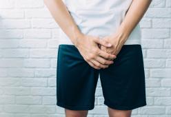 L’uomo è l’unico mammifero a cui è scomparso l’osso del pene. Come mai?