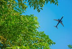Dall’aereo piovono escrementi che colpiscono un uomonel suo giardin o

