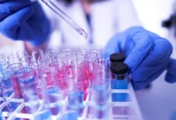 Virologa cinese fuggita in USA insiste: “Il Covid-19 è stato creato in laboratorio con la volontà di diffonderlo”