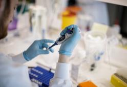 L’OMS spegne le speranze: non usciremo dalla pandemia nel 2021