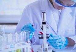 Coronavirus, l’OMS avverte: “Prepariamoci a una seconda ondata in autunno”