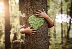 Stare nella natura fa bene al cervello e al corpo