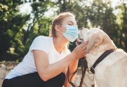 I cani possono essere addestrati per fiutare il Covid-19