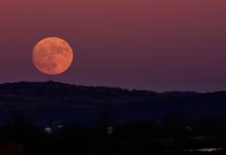 Stasera ci sarà la Superluna del Cervo: occhi fissi al cielo dopo cena 