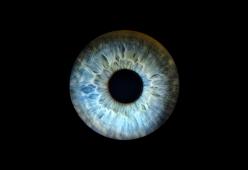 Le cellula della retina possono tornare a vedere dopo la morte