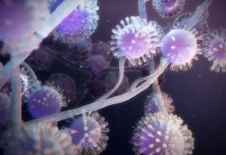 È in arrivo una nuova "malattia X"? L'OMS teme un'altra pandemia