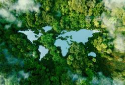 Il 22 aprile si celebra la Giornata Mondiale della Terra