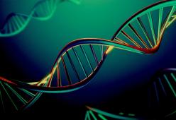 L’uomo continua ad evolversi: scoperti 155 nuovi geni 