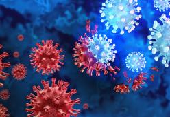 Un virus studiato apposta per uccidere il tumore: iniettato al primo paziente