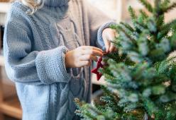 L’albero di Natale? Lo avete sempre fatto nel modo sbagliato. Ecco come si fa