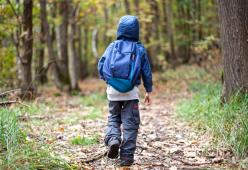 In Olanda i ragazzini si abbandonano nel bosco nella notte come rito di iniziazione all’età adulta