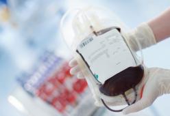 Vogliono solo sangue novax per loro figlio: sospesa potestà genitoriale
